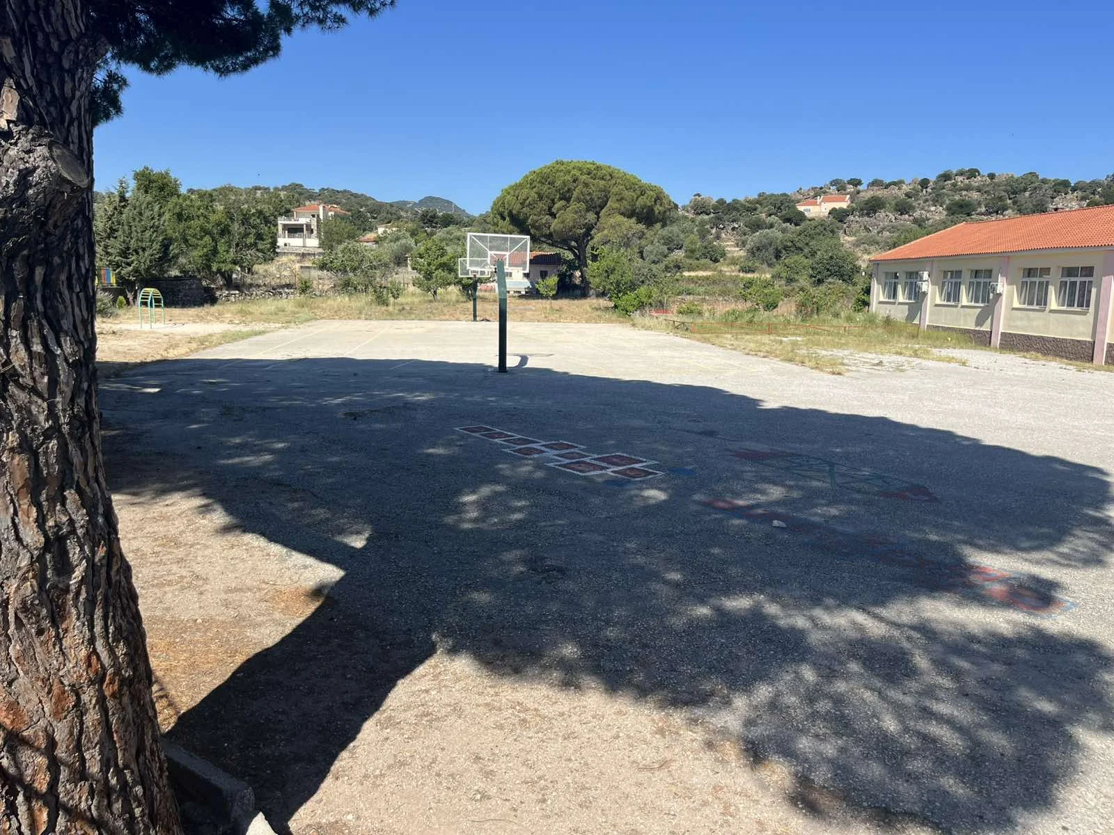 Donation to the Primary School of Filia, Lesvos